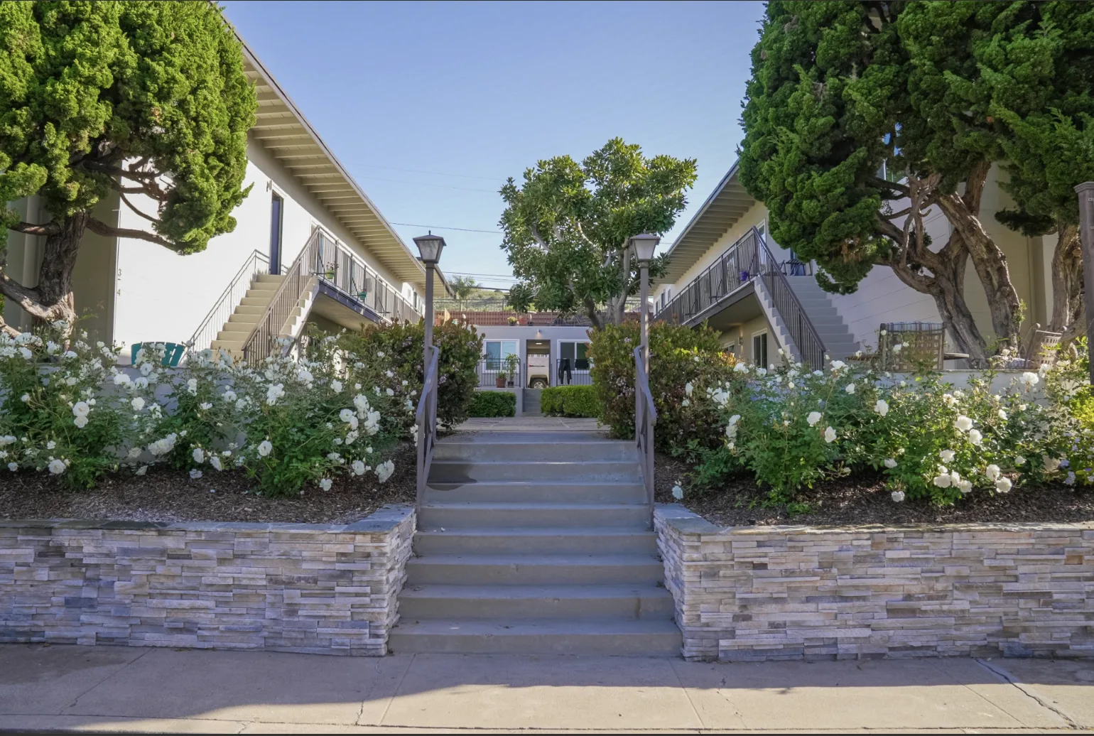 Cypress Drive
